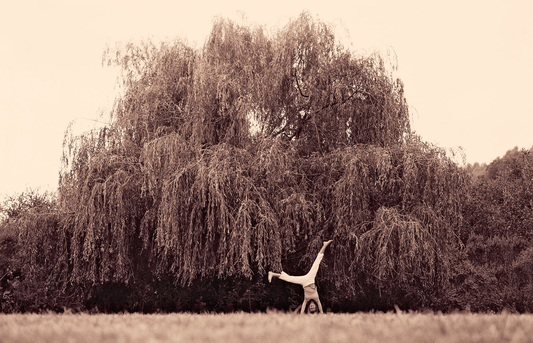 cartwheel-hor