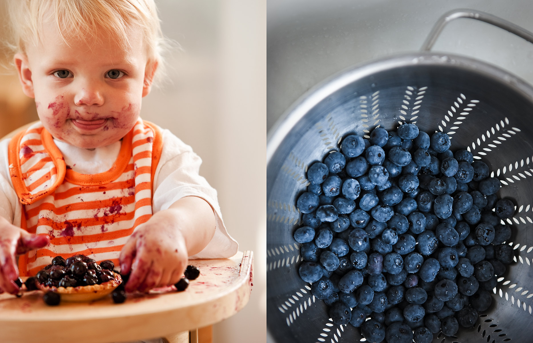 remyblueberries-spreads